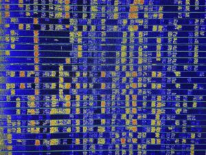 Modos Digitais no Radioamadorismo: FT8, FT4 e a Revolução da Comunicação em Sinais Fracos